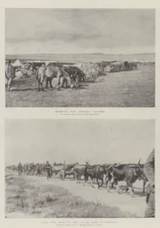 Scene a Chieveley